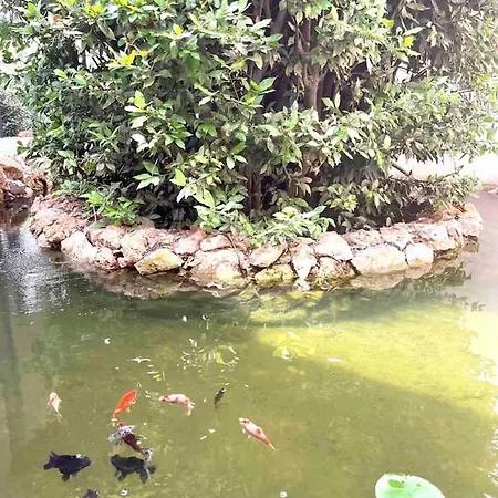 D'exception Montpellier * Saint-Jean-de-Védas