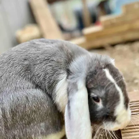 D'exception Montpellier Villa Saint-Jean-de-Védas