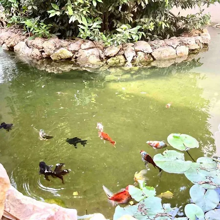 Villa D'exception Montpellier *