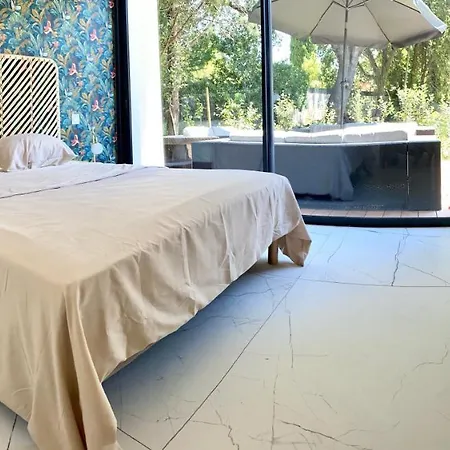 Villa D'exception Montpellier Saint-Jean-de-Vedas