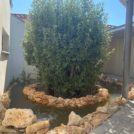 D'exception Montpellier * Saint-Jean-de-Védas