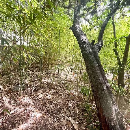 D'exception Montpellier Villa