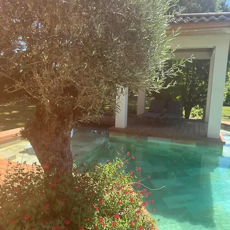 D'exception Montpellier *